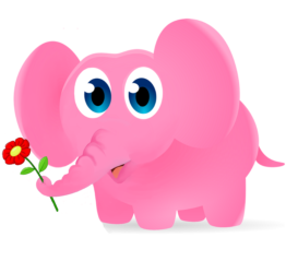 Pink Elephant